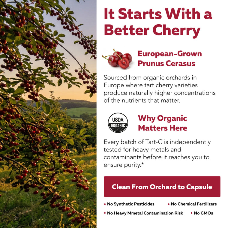 Organic cherries, water-only extraction, no ethanol hexane or acetone, every batch tested for polyphenol potency