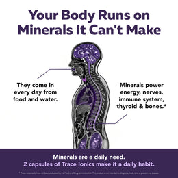 Infographic: body outline with mineral points and the headline Your Body Runs on Minerals It Can't Make