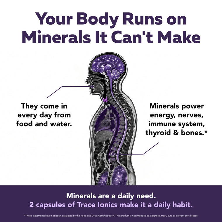 Infographic: body outline with mineral points and the headline Your Body Runs on Minerals It Can't Make