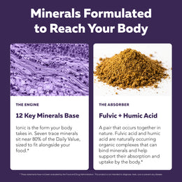 Infographic: Minerals formulated to reach your body, featuring the 12 essential minerals base and fulvic humic acid