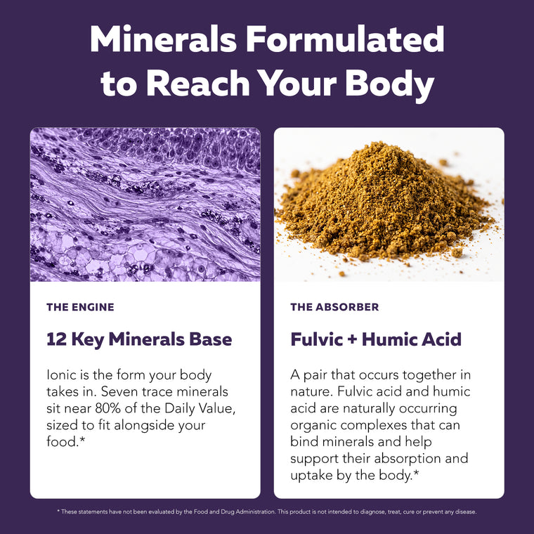 Infographic: Minerals formulated to reach your body, featuring the 12 essential minerals base and fulvic humic acid