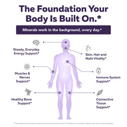 Infographic: whole-body map showing the foundational role of minerals across different body areas