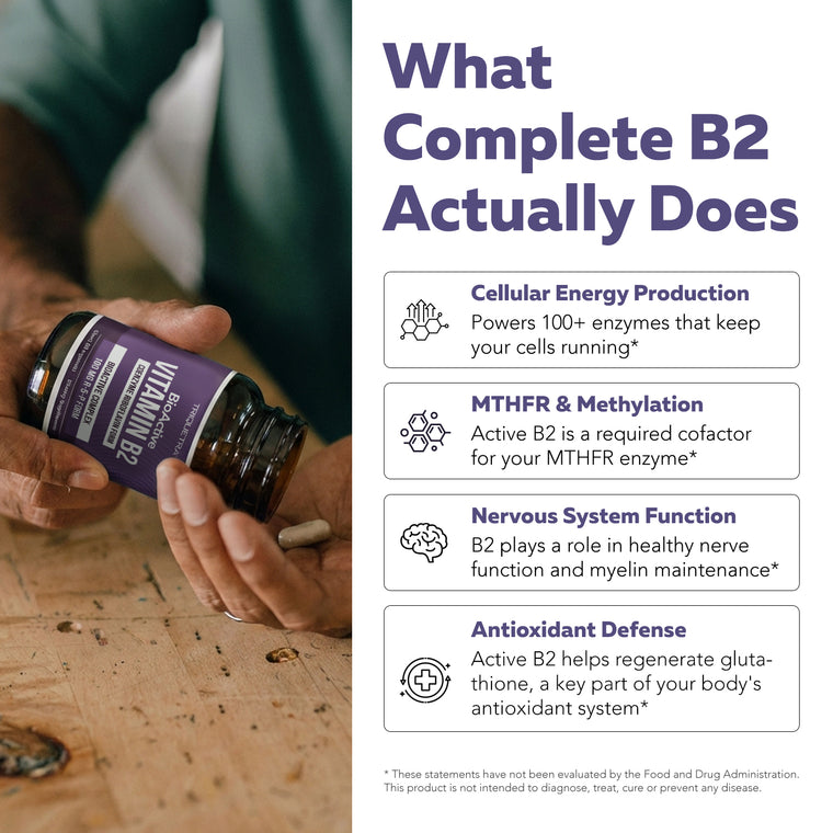 Hands dispensing BioActive B2 capsule next to benefits: cellular energy, MTHFR methylation support, nervous system function