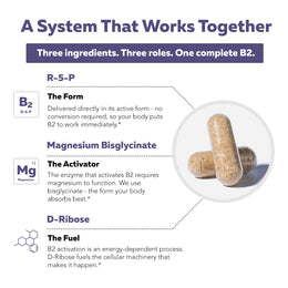 Two capsules beside the BioActive B2 complete formula system: body-ready R5P + cofactors magnesium and D-ribose