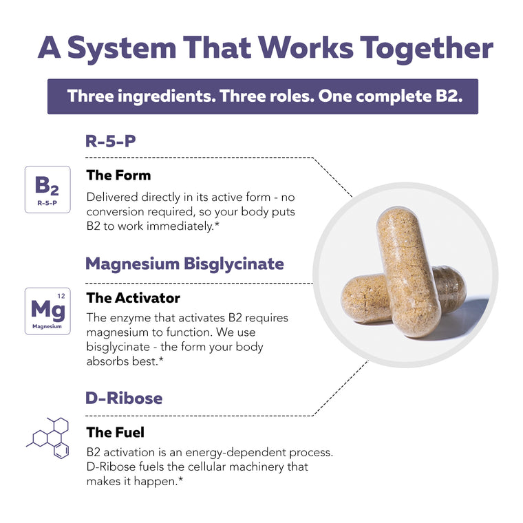 Two capsules beside the BioActive B2 complete formula system: body-ready R5P + cofactors magnesium and D-ribose