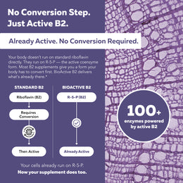 Chart comparing standard riboflavin conversion to BioActive B2; body-ready R5P is already active for 100+ enzymes