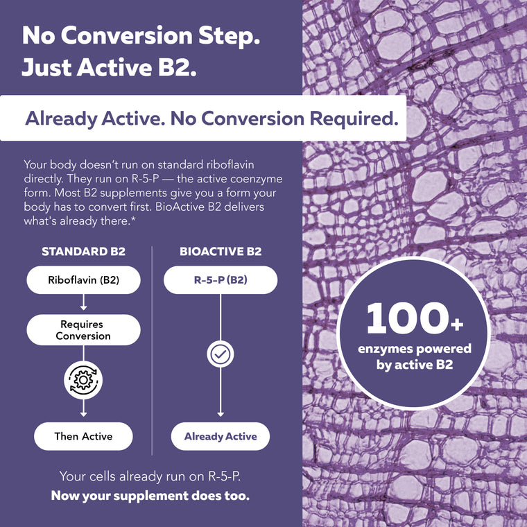 Chart comparing standard riboflavin conversion to BioActive B2; body-ready R5P is already active for 100+ enzymes