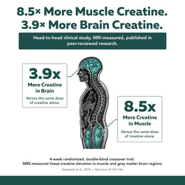 Clinical study infographic showing Triquetra Creatine Reserve increased muscle creatine levels by 8.5x and brain creatine levels by 3.9x compared to creatine monohydrate alone for strength, cognition, and energy support