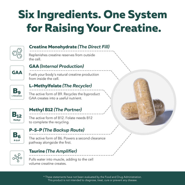 Ingredient breakdown of Triquetra Creatine Reserve featuring creatine monohydrate, GAA, methylfolate, methyl B12, P-5-P vitamin B6, and taurine for creatine production, muscle energy, cognitive support, and cellular hydration