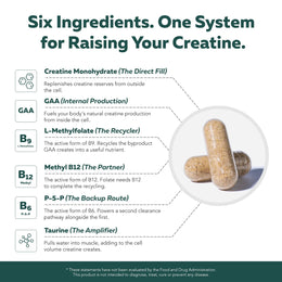 Ingredient breakdown of Triquetra Creatine Reserve featuring creatine monohydrate, GAA, methylfolate, methyl B12, P-5-P vitamin B6, and taurine for creatine production, muscle energy, cognitive support, and cellular hydration