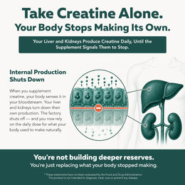 Infographic explaining how creatine supplementation alone can reduce natural creatine production while Triquetra Creatine Reserve with GAA supports internal creatine synthesis, muscle energy, brain energy, and whole-body creatine reserves