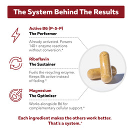 BioActive Vitamin B6 cofactor system diagram showing P-5-P active B6, riboflavin, and magnesium roles with capsules