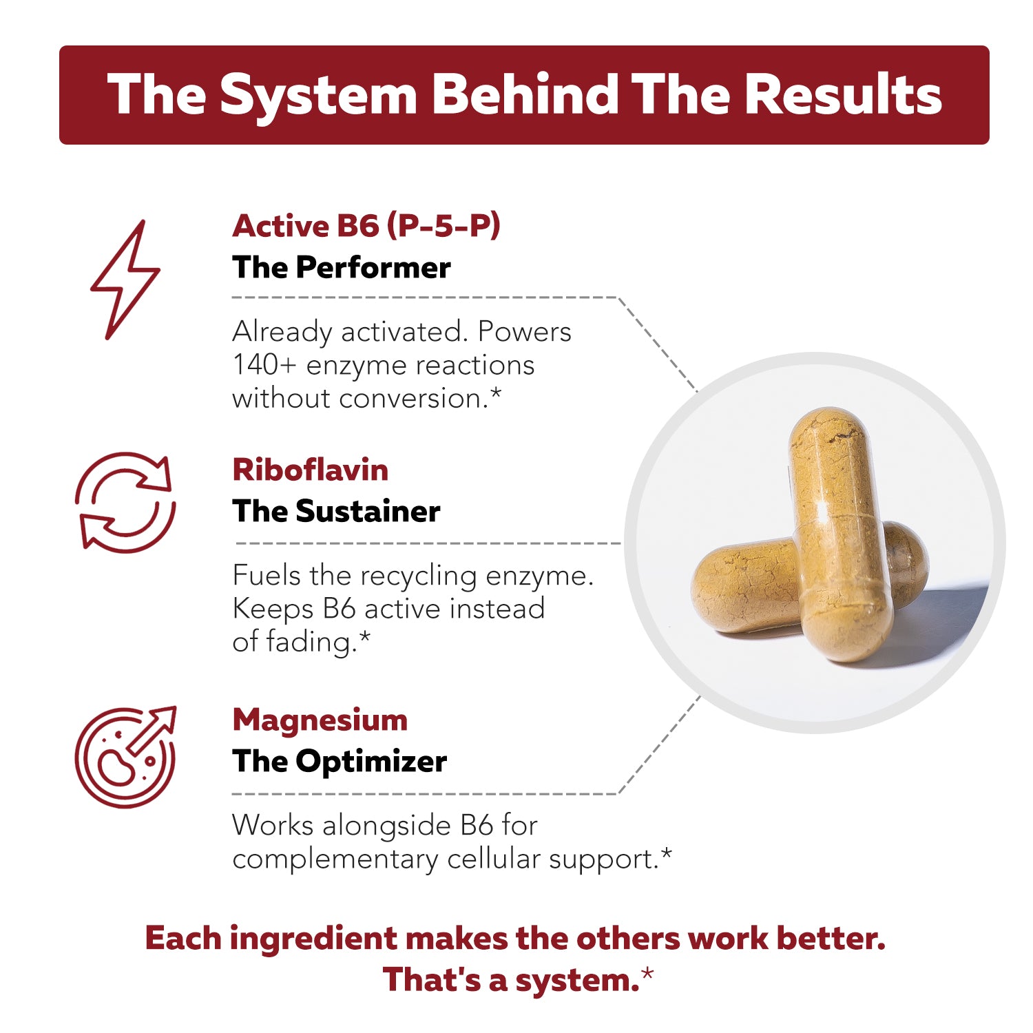 BioActive Vitamin B6 cofactor system diagram showing P-5-P active B6, riboflavin, and magnesium roles with capsules