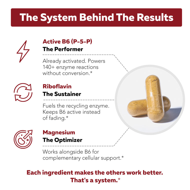 BioActive Vitamin B6 cofactor system diagram showing P-5-P active B6, riboflavin, and magnesium roles with capsules