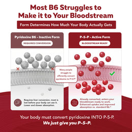 Vitamin B6 comparison chart showing pyridoxine inactive form versus P-5-P active form and bloodstream absorption differences