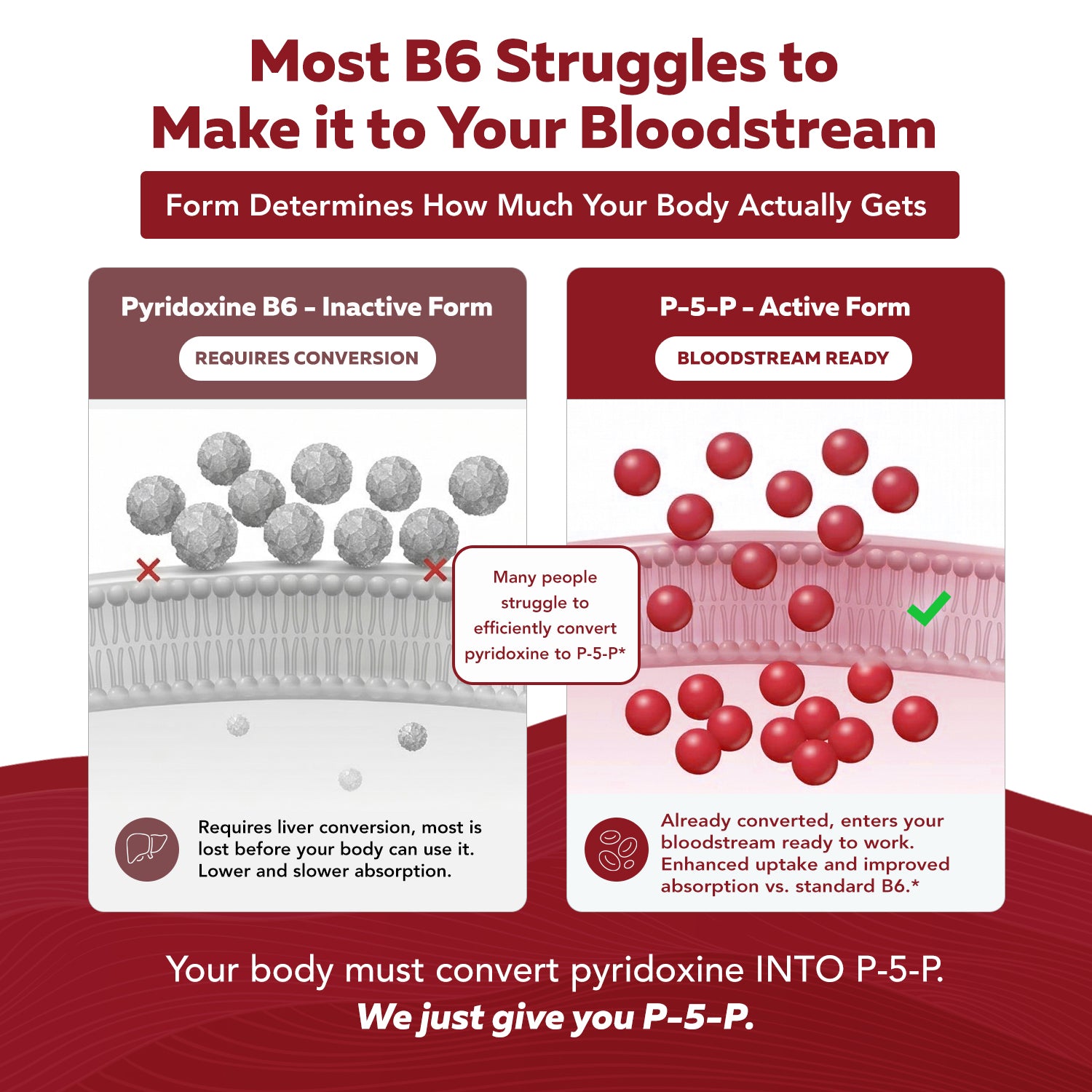 Vitamin B6 comparison chart showing pyridoxine inactive form versus P-5-P active form and bloodstream absorption differences