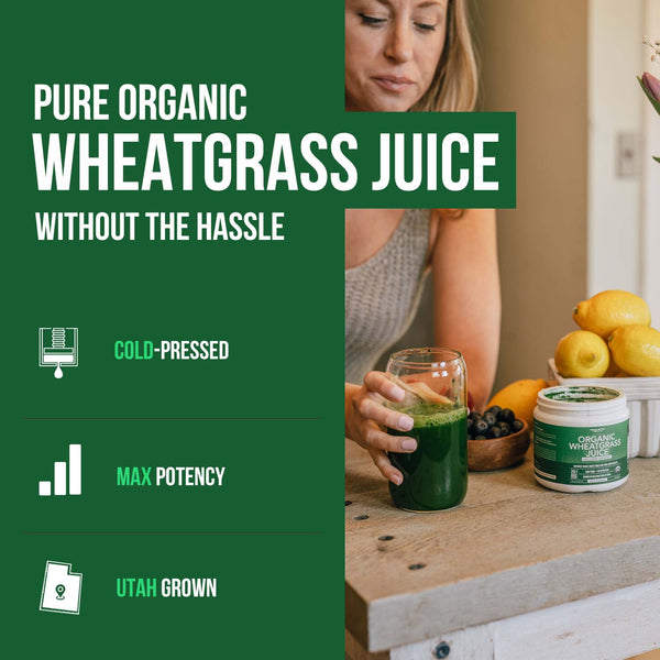 Organic Wheatgrass Juice Powder