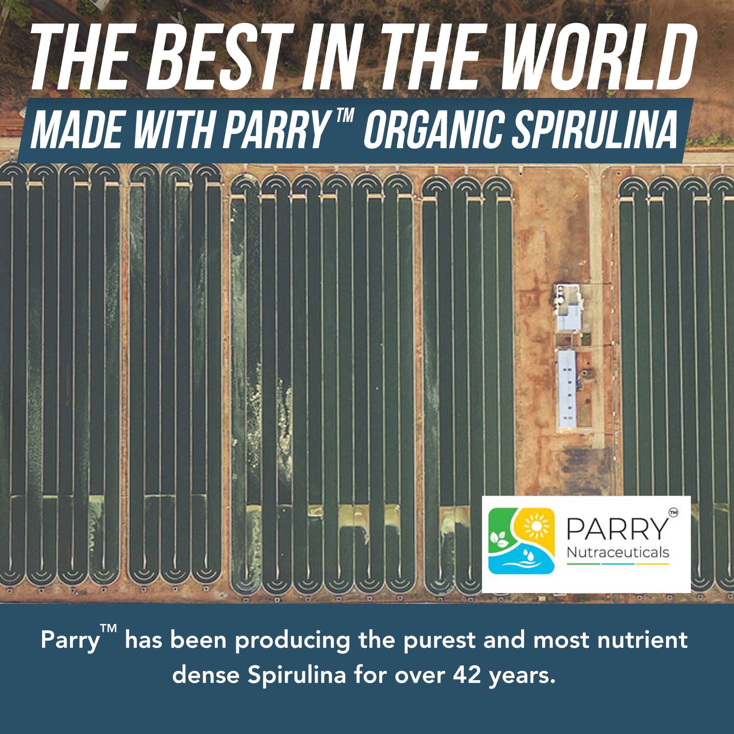 Organic Spirulina Powder