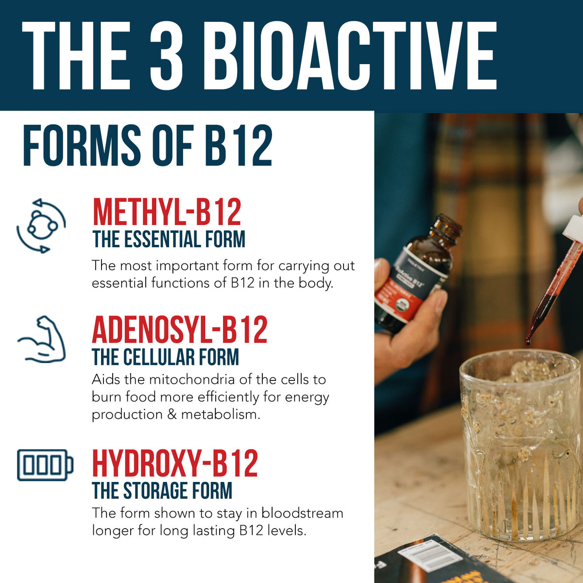 BioActive B12 Liquid: Vitamin B12 Plus L-Methylfolate