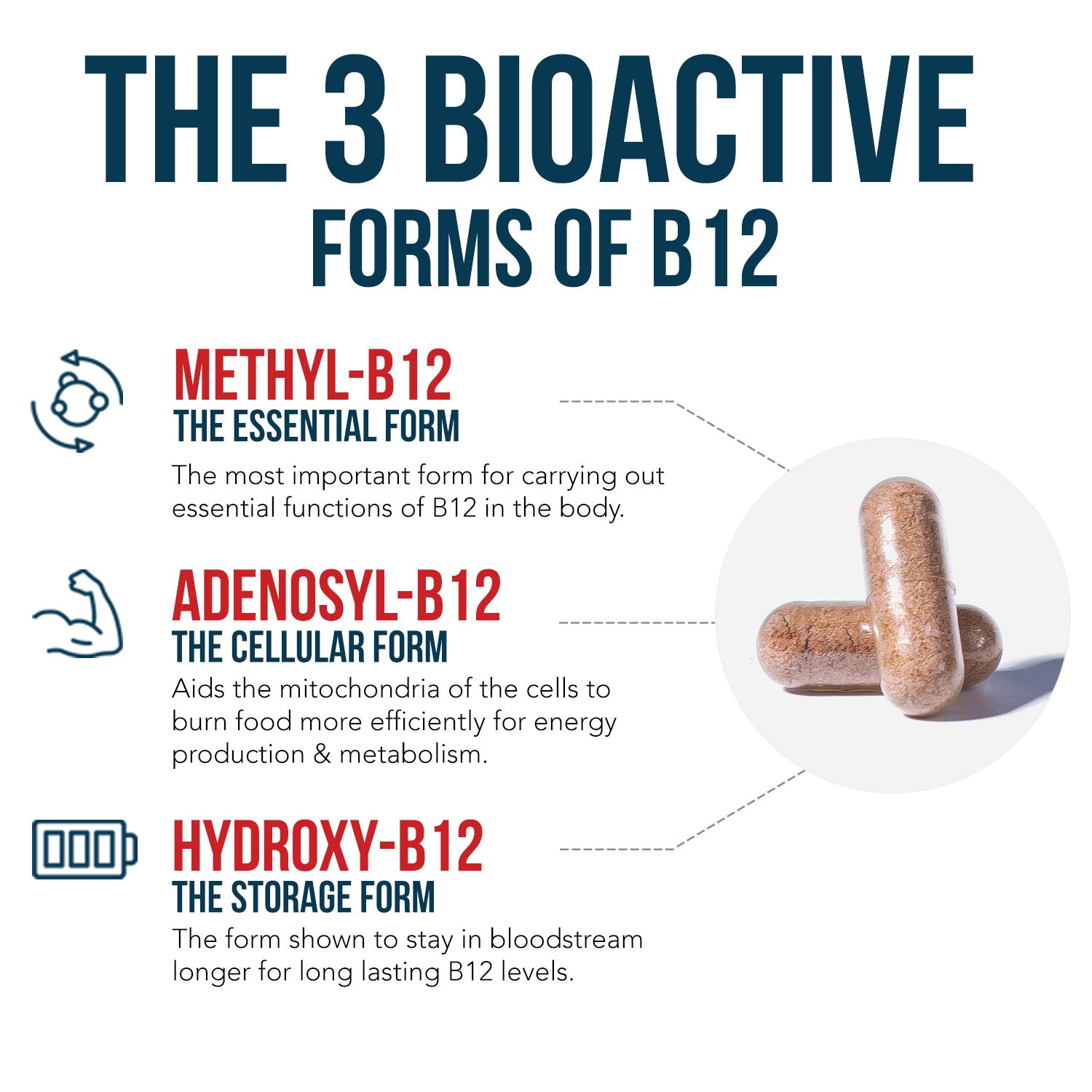 BioActive B12: Vitamin B12 Plus L-Methylfolate