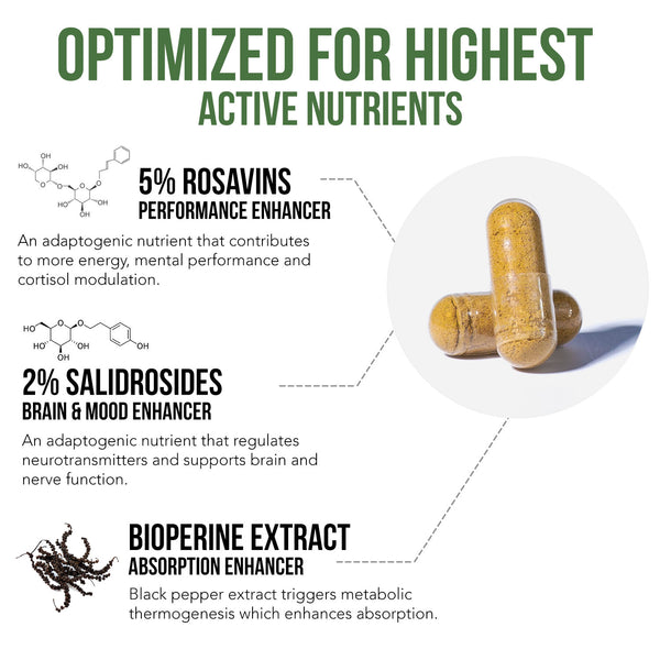 Siberian Rhodiola (Rhodiola Rosea Extract)