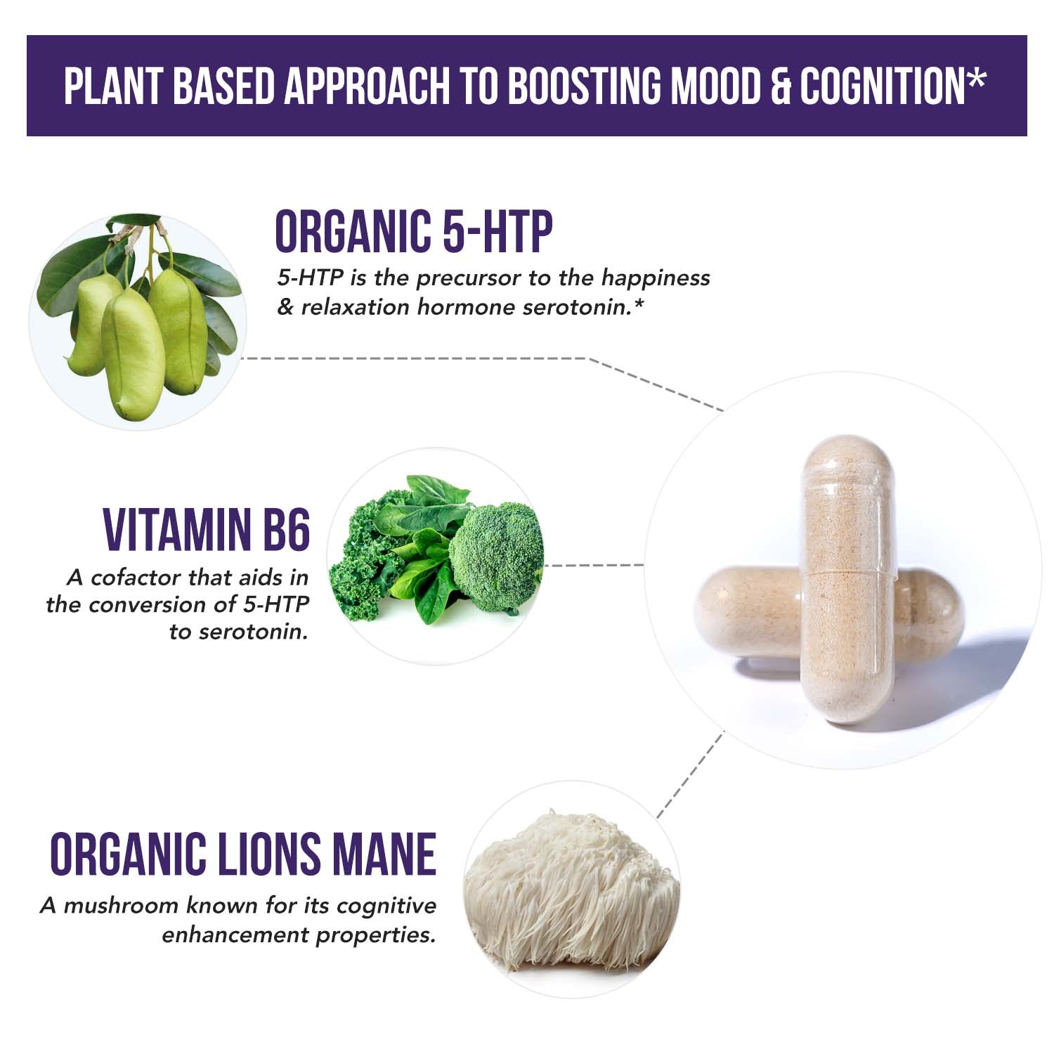 Plant 5 HTP Triquetra Plant 5 htp triquetra