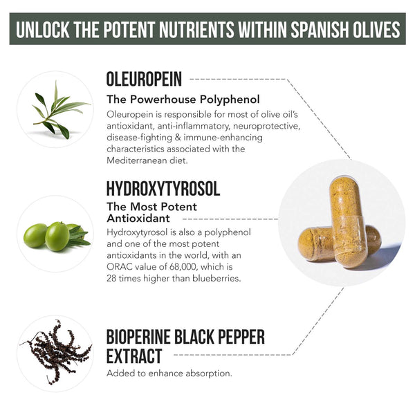 Total Olive (Olive Leaf Extract + Olive Fruit Extract)