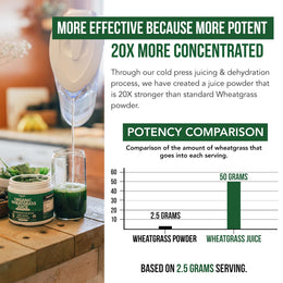 Organic Wheatgrass Juice Powder
