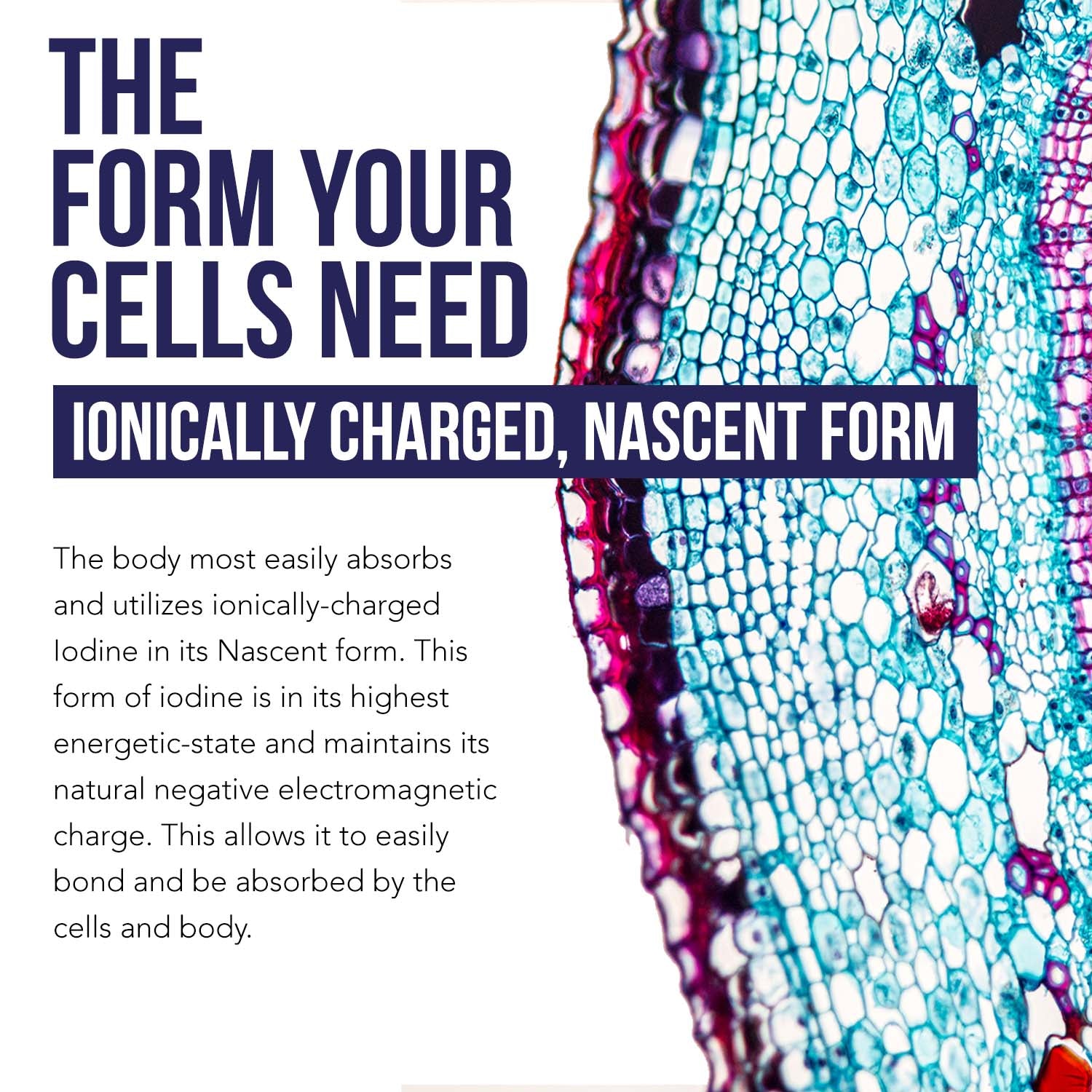 Ionic Nascent Iodine Liquid Supplement