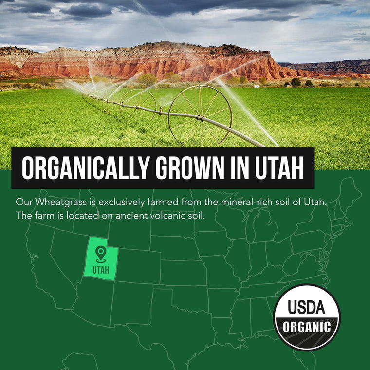 Organic Wheatgrass Juice Powder - Lemon Flavor