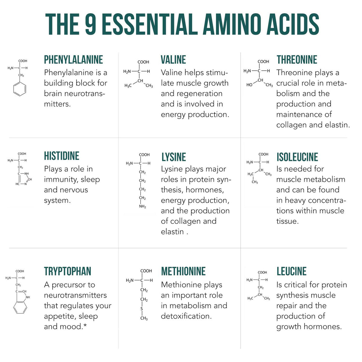 Plant Aminos Essential Amino Acids