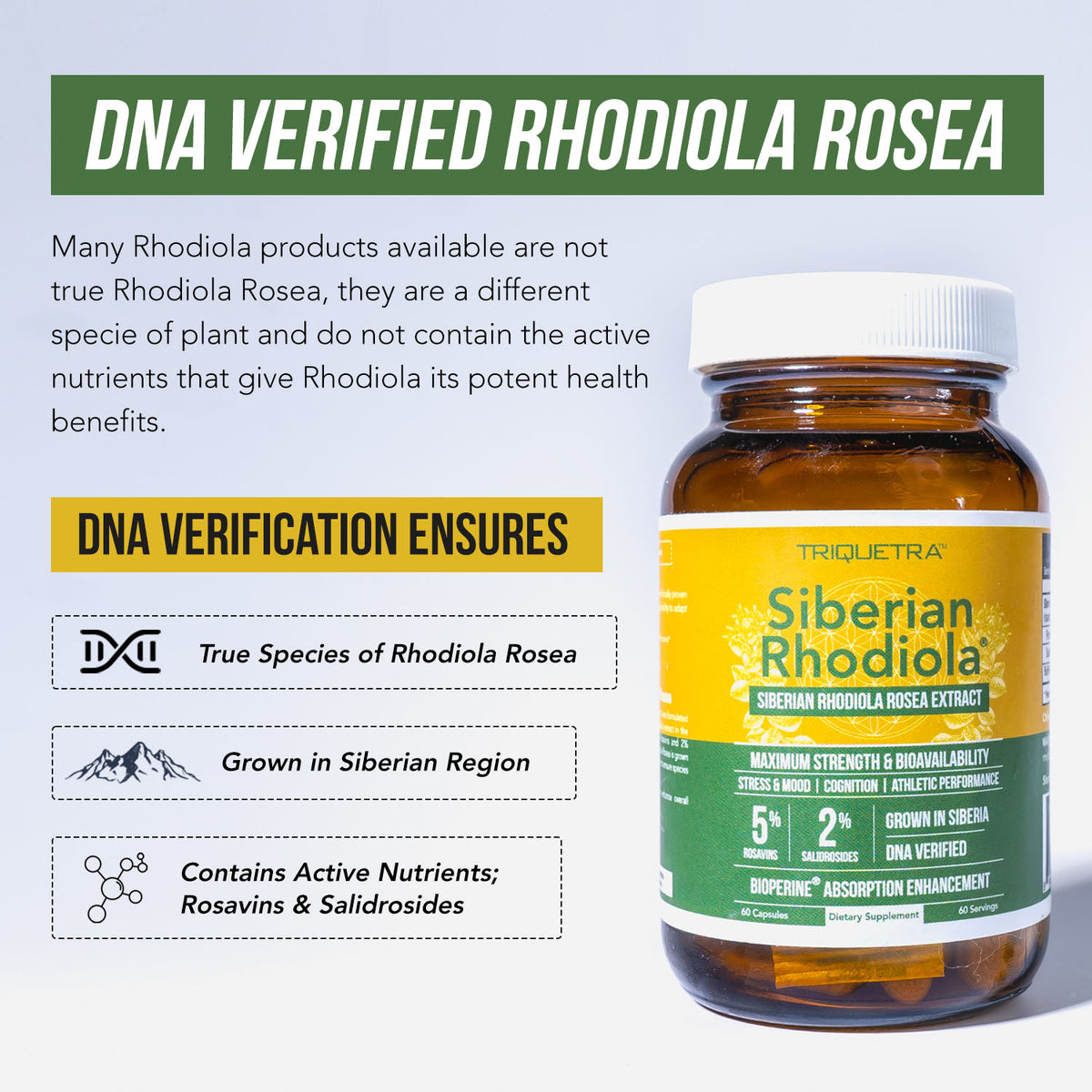 Siberian Rhodiola (Rhodiola Rosea Extract)