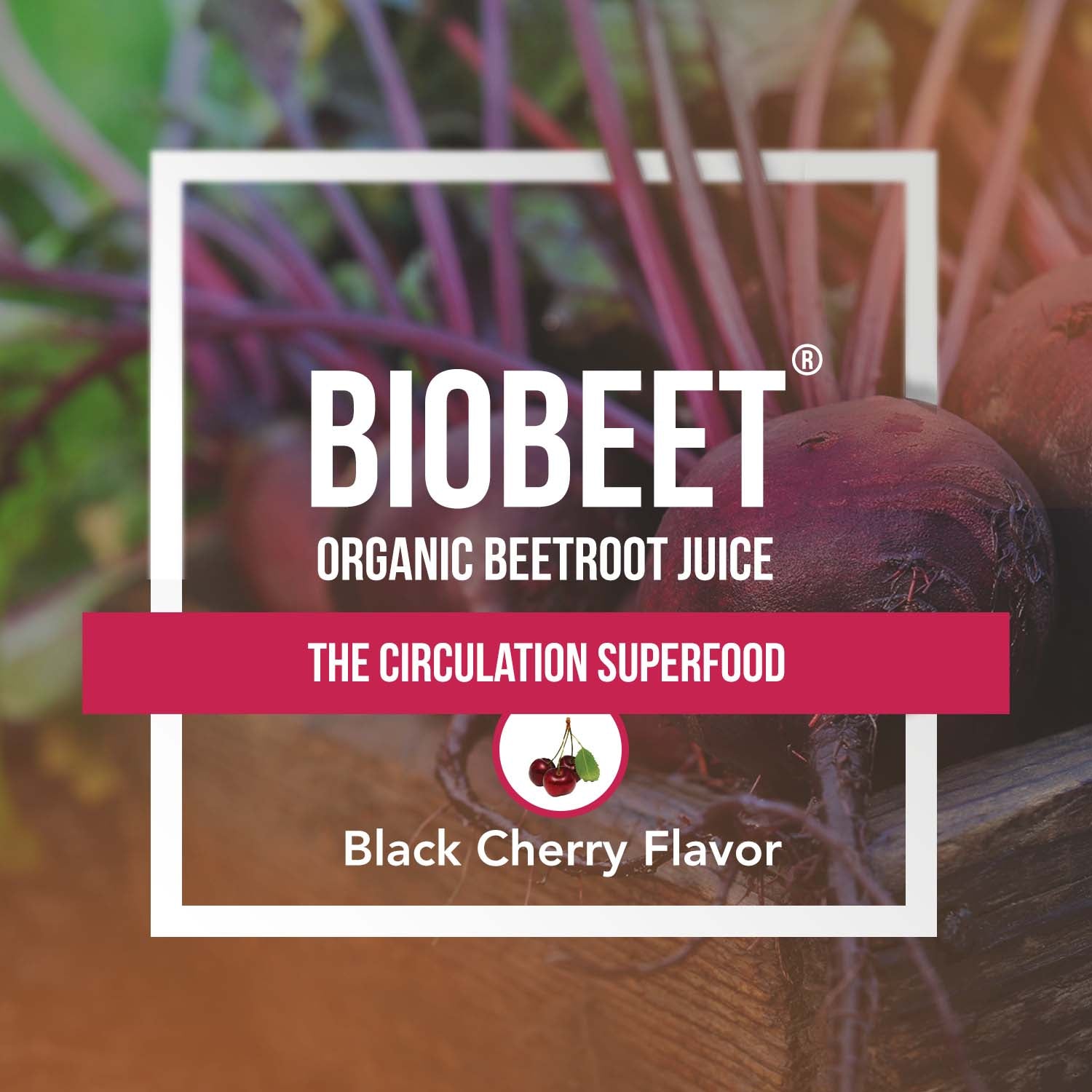 Organic BioBeet Juice Powder Black Cherry Flavor