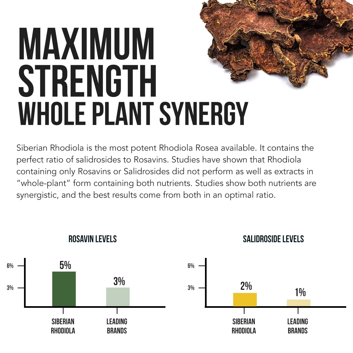 Siberian Rhodiola (Rhodiola Rosea Extract)