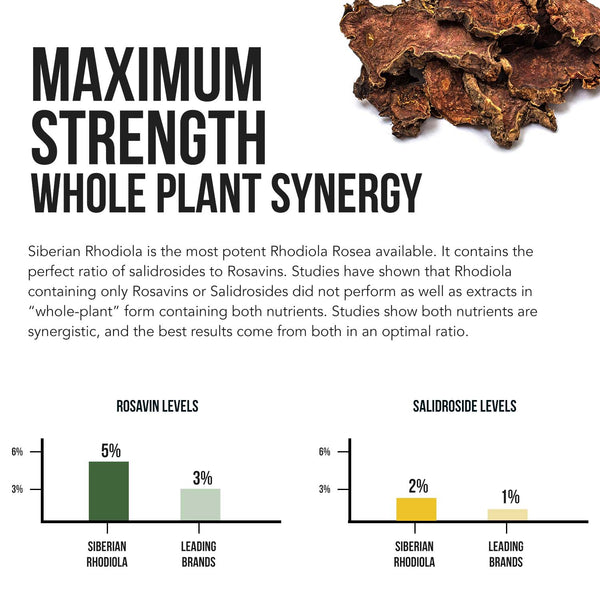 Siberian Rhodiola (Rhodiola Rosea Extract)