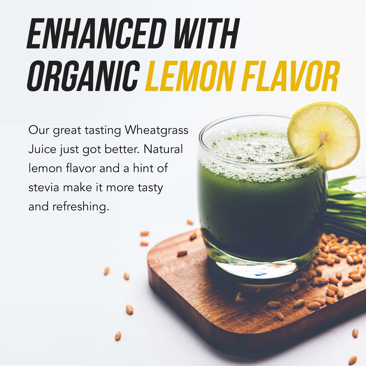 Organic Wheatgrass Juice Powder - Lemon Flavor